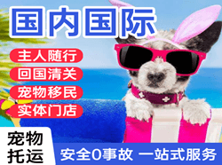 阿拉尔塔里木机场托运国际宠物托运 【国